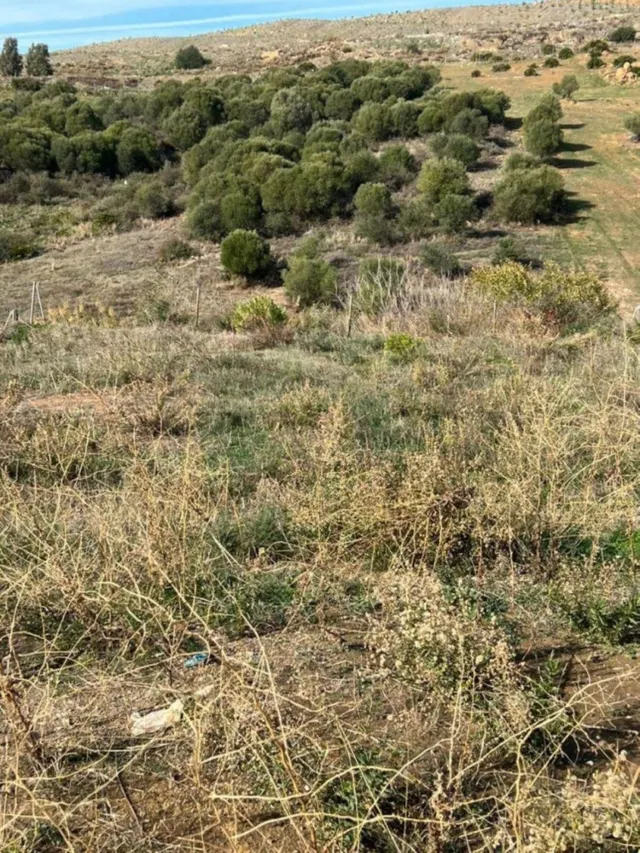 Terreno exclusivo para villa de lujo en Guadalmina Alta — 6