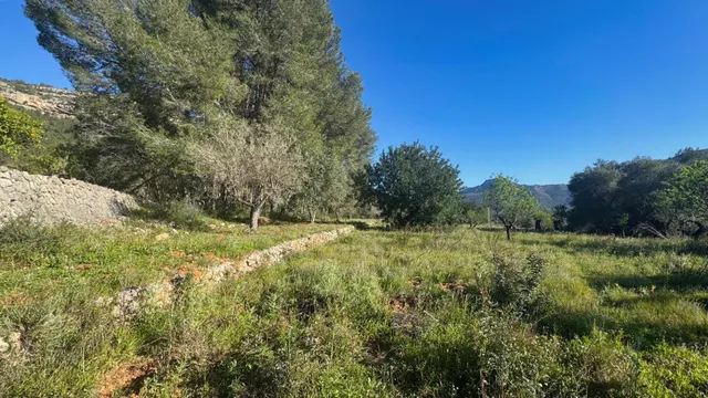 Parcela rústica edificable en entorno natural privilegiado — 6