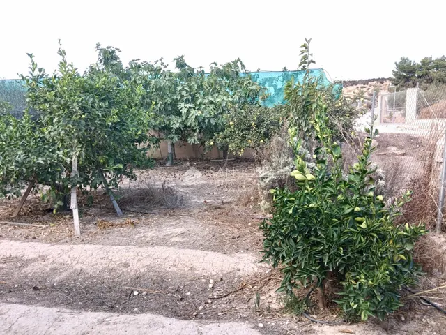 SE VENDE CHALET EN BUEN ESTADO EN MONFORTE DEL CID EN LA ZONA DEL FONT DEL LLOP — 38