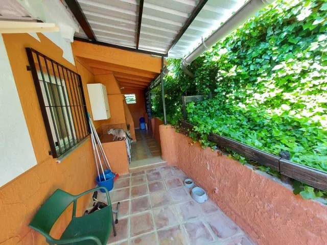 Piso 3 habitaciones 160m² en venta - Calasparra centro — 14