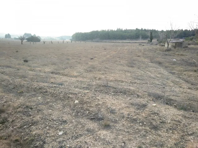 EXCELENTE PARCELA EN PARAJE DE LOS ESPETONES — 5