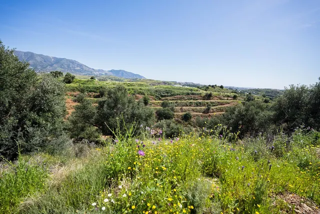 Parcela rústica agraria en Mijas con vistas al mar - foto 4