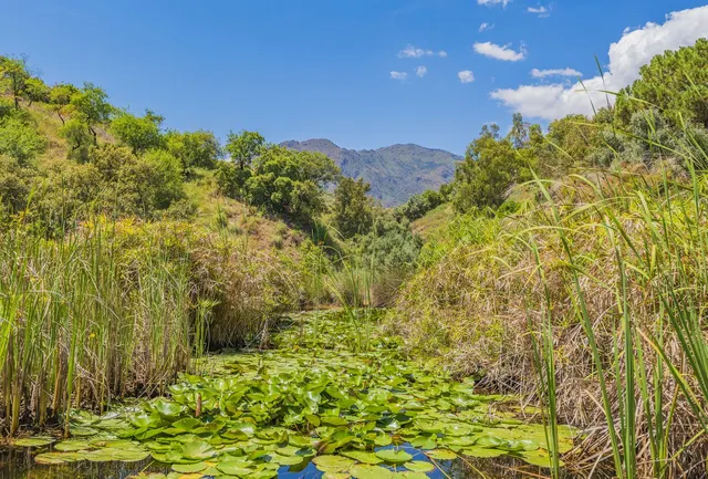 Parcela 400m² en venta - Costa Del Sol — 46