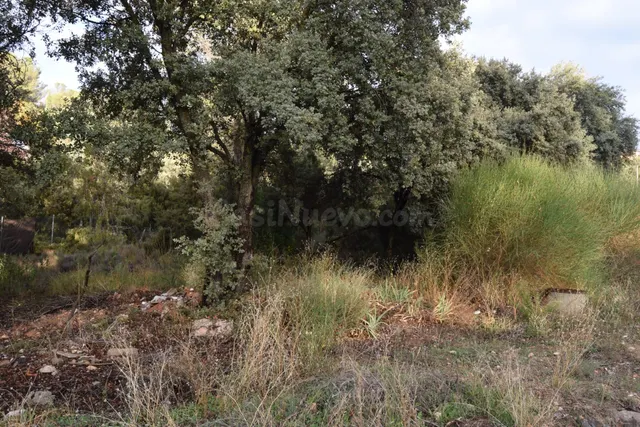 Tegeisa vende parcela - foto 2