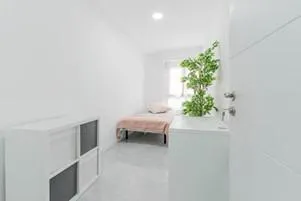 Co-Living  - Ideal Inversionistas — 17