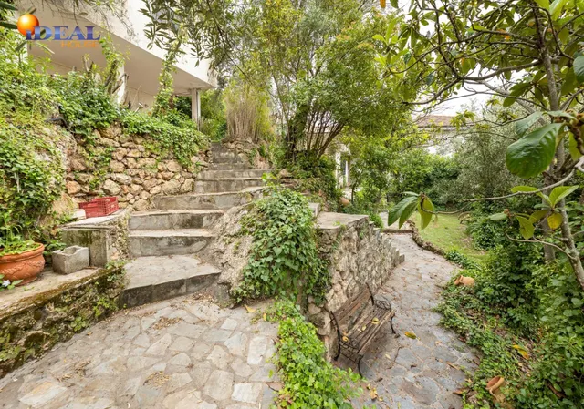 Chalet con gran parcela en Cogollos — 3