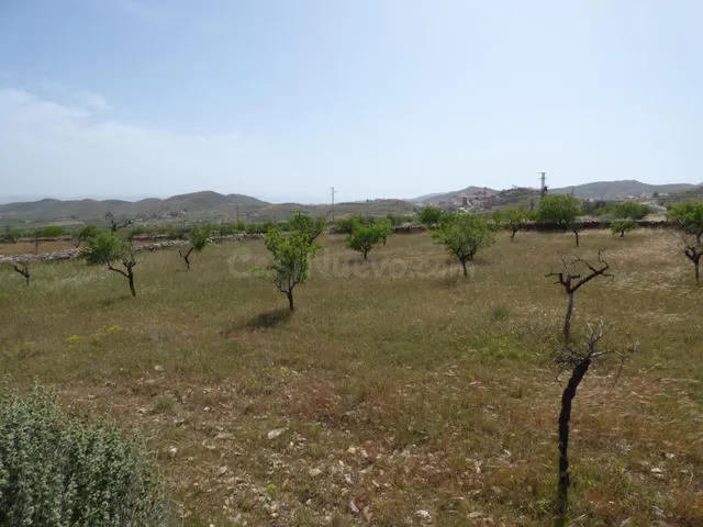 Terreno rural en venta - Andalucia - foto 5