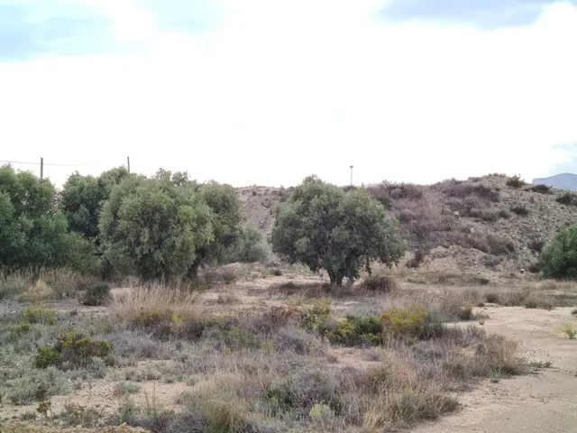 SE VENDE TERRENO EN LA ALCORAYA, ALICANTE.SEVENDGROUP.COM — 12