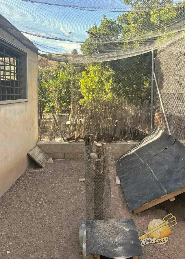 Maison dans les potagers de Ricote — 15