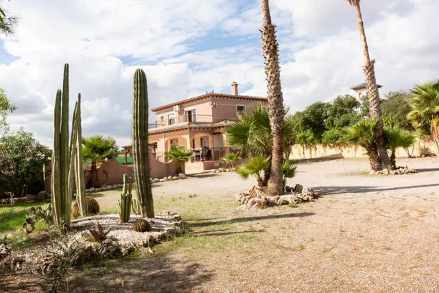 Espectacular chalet con piscina y gran jardín en Albatera — 39