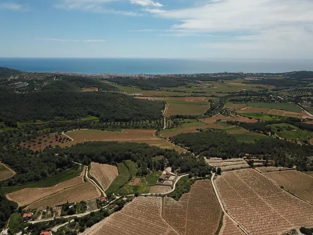 Finca de aprox 67 hectàreas. Con dos casas principales para reformar — 14