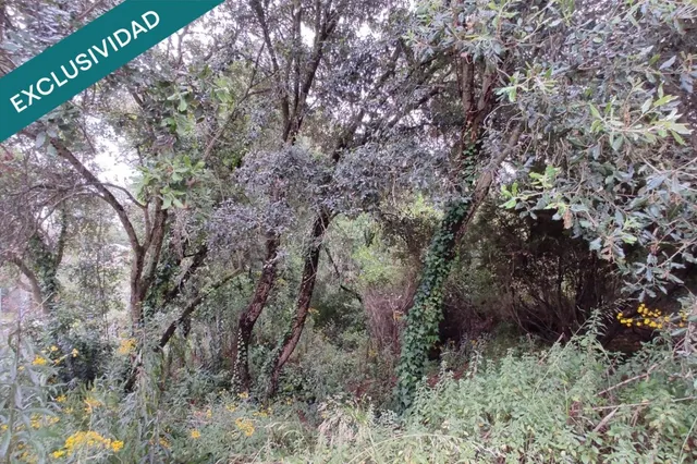 ¡Construye la casa en Sant Genís de Palafolls! — 18
