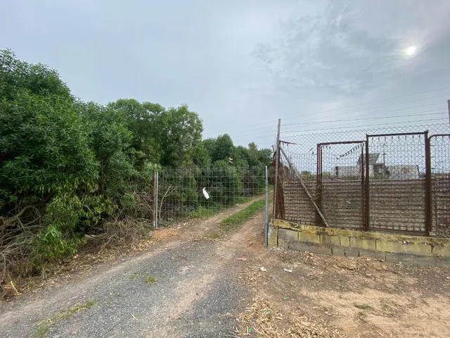 TERRENOS RÚSTICOS EN VENTA – LAS TRES PIEDRAS, CHIPIONA