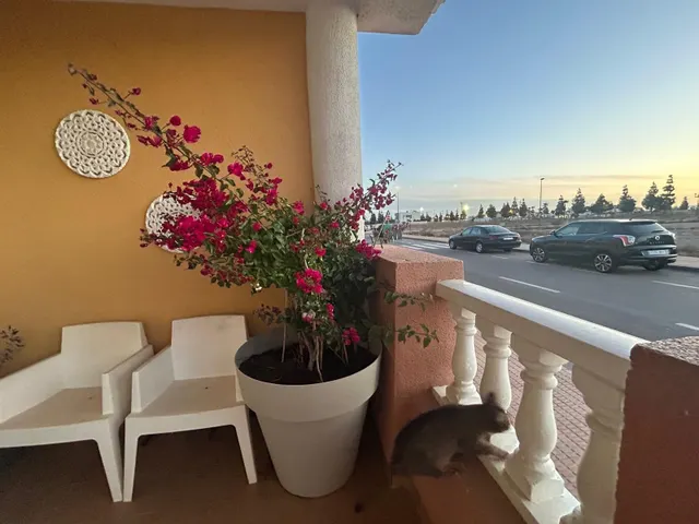 CHALET PAREADO CON GARAJE EN LOS ALCAZARES — 15