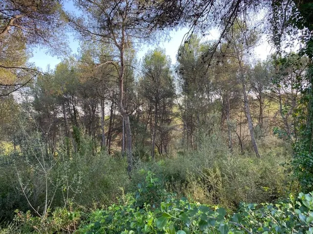 OPORTUNIDAD ENORME TERRENO EN VENTA POR 150.000€ — 23