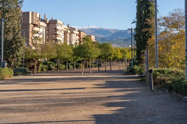 Local comercial de 200 m2 cerca del estadio Los Carmenes, magnifica oportunidad de inversion — 41