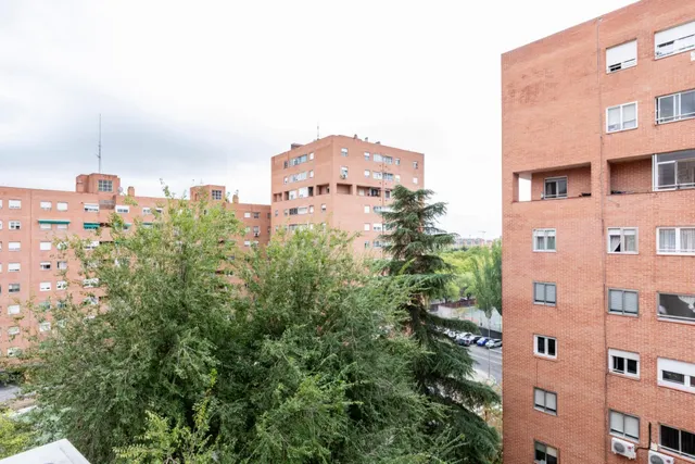 VIVIENDA MUY LUMINOSA DE 3 DORMITORIOS, 2 BAÑOS Y AMPLIA TERRAZA — 7