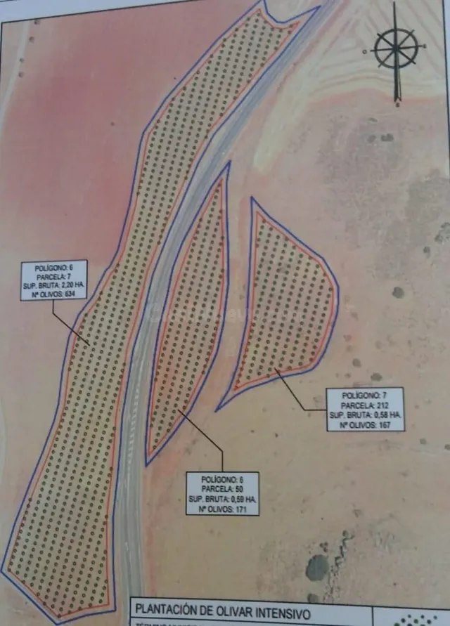 Se vende parcela Granatula de Calatrava Paraje Zorrilla, Ciu