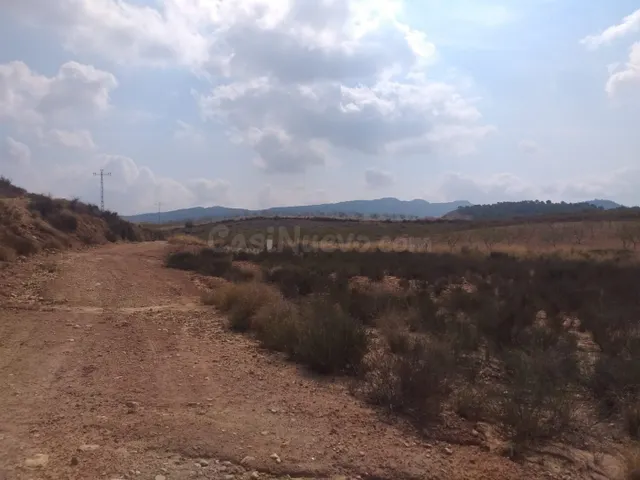 SE VENDE PARCELA EN JUMILLA - foto 3
