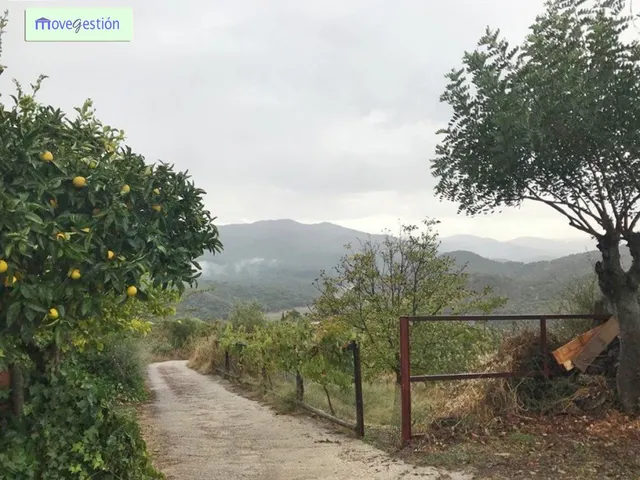 CAMPO EN EL CERRO MULERA — 4