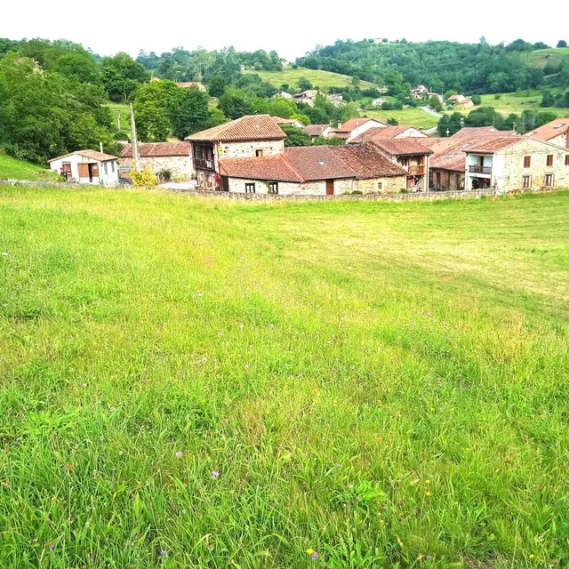 Exclusiva parcela en Cades (Herrerías) con 3.707 m2 de terre - foto 4