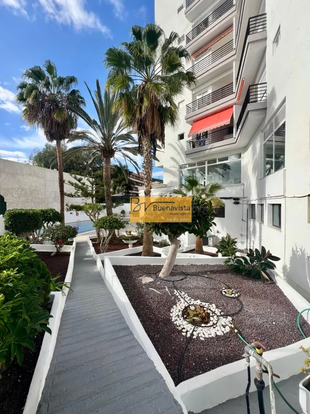 Apartamento 1 habitación en venta - Los Cristianos - foto 4