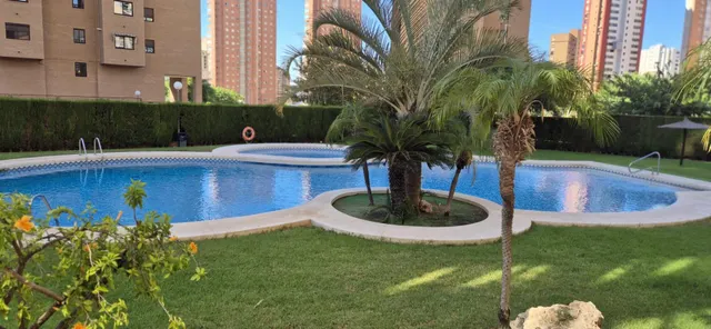 Moderno piso en Benidorm, Zona Juzgados - foto 2
