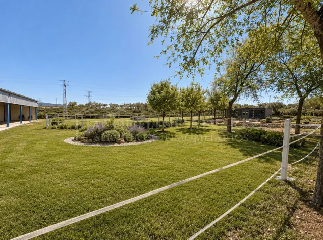 FINCA RÚSTICA DE 20.000 M2 CON NAVE Y ZONA ACONDICIONADA CON