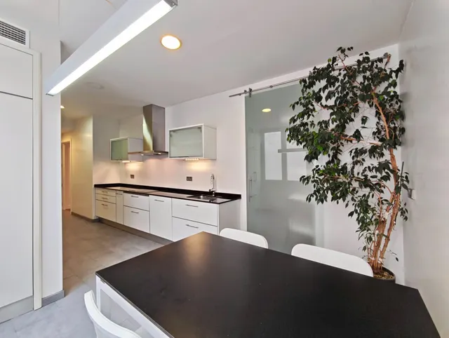 Vivienda exclusiva y luminosa en Plaza conde de Valle Suchil — 44