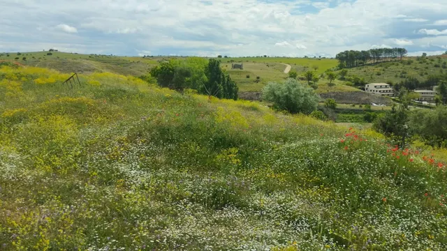 Terreno urbano en venta - Fuentelencina — 18