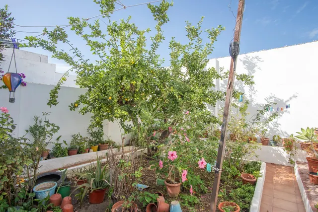 Casa independiente con jardín, patio y azotea en San Fernando — 33