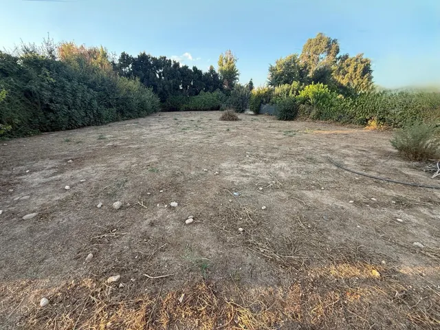Parcela en Venta en El Alamillo, Córdoba - Oportunidad Única - foto 4