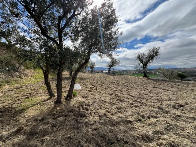 Un rincón de paz y futuro en Alhendín (SOLAR URBANIZABLE) — 5