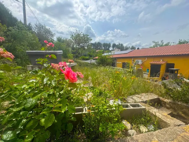 Casa en planta baja y con piscina en parcela de 1250m2 — 17