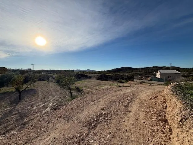 Venta  de terreno en Barinas (Abanilla) — 17