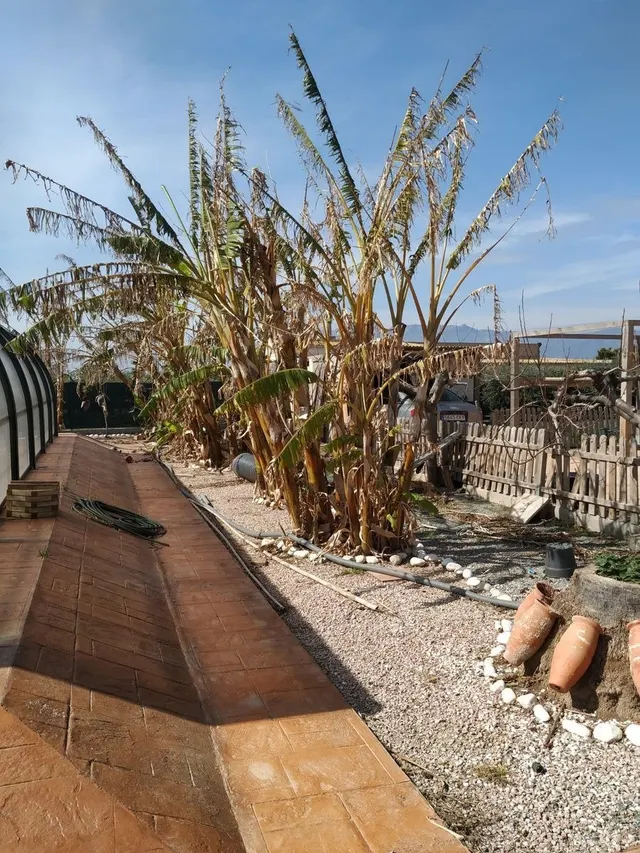 Espectacular casa de piedra con parcela de 10.000m2,  no deje pasar esta oportunidad. — 21