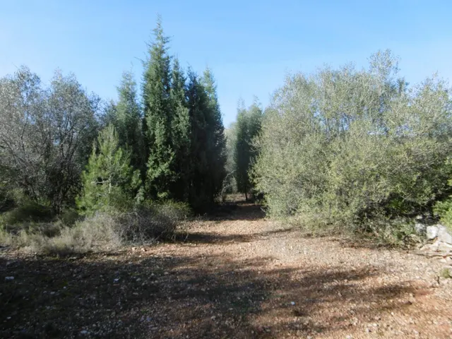 MASIA PARA REFORMAR  CON ALMACENES EN UNA FINCA DE 10 HECTÁREAS — 24