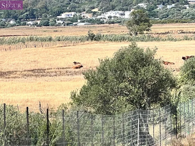 Parcela rústica ideal para Caballos, ganado.