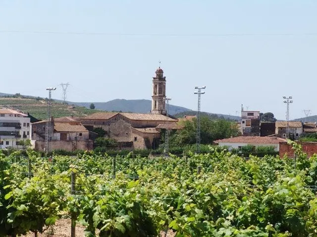 2 PARCELAS EN VENTA — 5