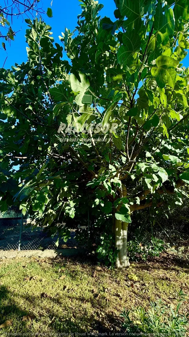 Encantadora Casa de Campo en Carretera del Aeropuerto  NO HIPOTECABLE — 6