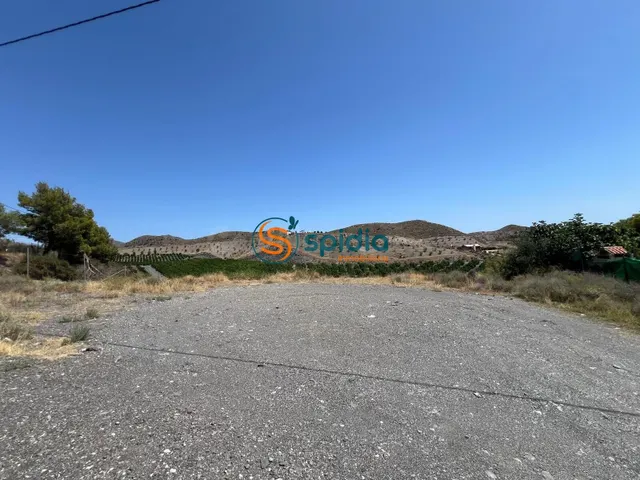TERRENO RÚSTICO DE 2.200 m2 A LA VENTA EN TEBAR CON AGUA Y L - foto 2