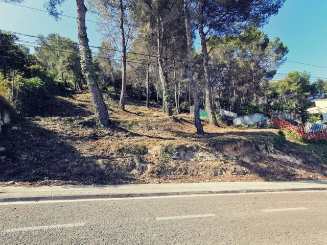 Amplio, con vistas y cercano al pueblo de Canyelles — 4