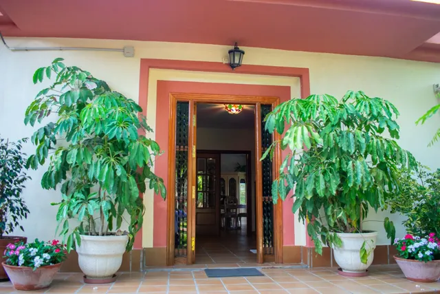 Chalet 5 habitaciones 231m² en venta - Residencial los romeros — 8