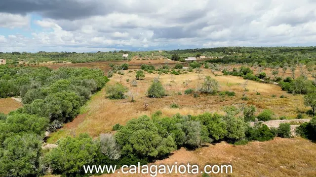 Terreno rústico en venta en Ses Salines