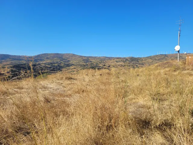 CASA CON CORRAL y TERRENO EN SAN MARTÍN DE UNX — 40