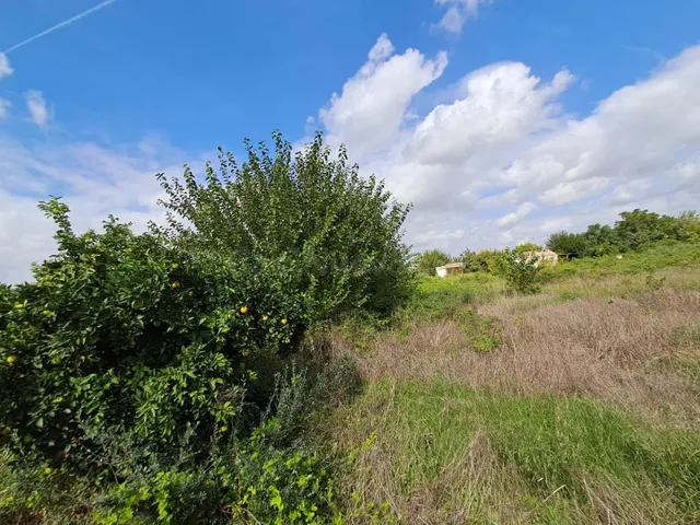 TERRENO EN VENTA EN HUERTA DE MURCIA - foto 3