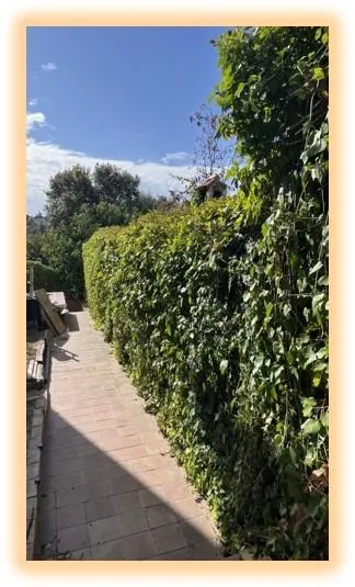 excepcional VILLA - El Casar - MADRID -GUADALAJARA — 32