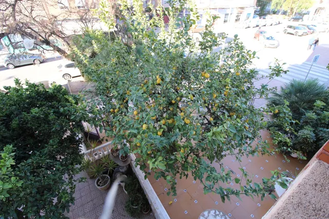 Piso 4 habitaciones 182m² en venta - Ciudad jardin