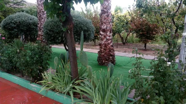 “Finca rústica con vivienda y vistas al campo en Cehegín” — 8