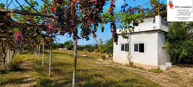 CASA DE CAMPO CON 10.000 METROS DE TERRENO - foto 3